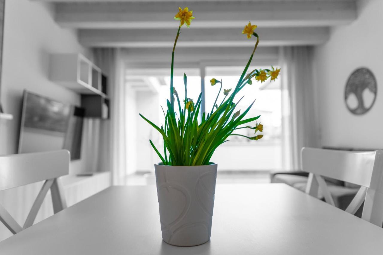 Verona Urban Apartment Екстериор снимка